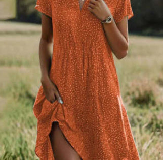 Charlotte™ Elegant Dress